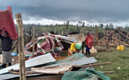 Green Colonialism and Scramble for African Land.