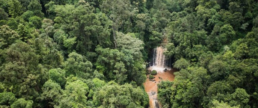 Green Building Innovations Offer Kenyan Private Sector Lucrative Path to Carbon Credits