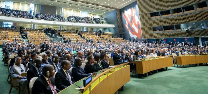 A Display of Wealth or a Missed Opportunity by African Leaders at the UN?