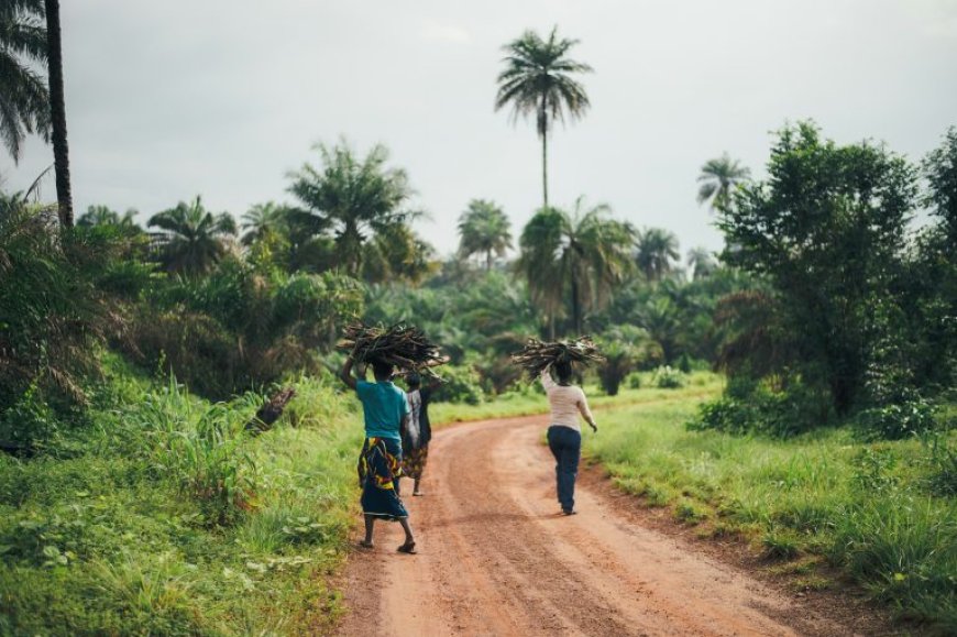 How Africa Can Stop Exporting Jobs and End Poverty