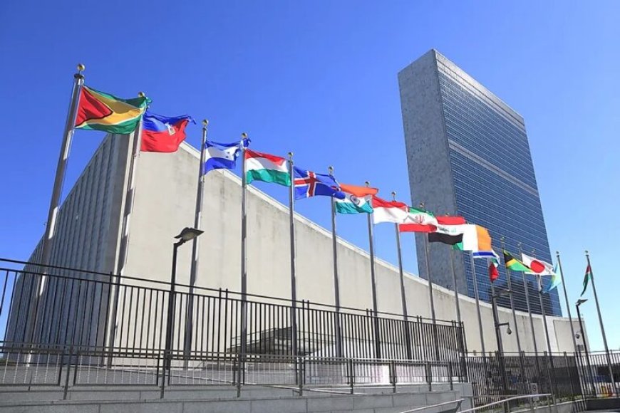 IS THE UNITED NATIONS TOO OLD REMOTE, ISOLATED AND OUT OF TOUCH WITH THE REALITY OF OUR WORLD?