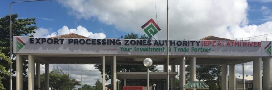 ARE EPZS LIVING UP TO THE HYPE?