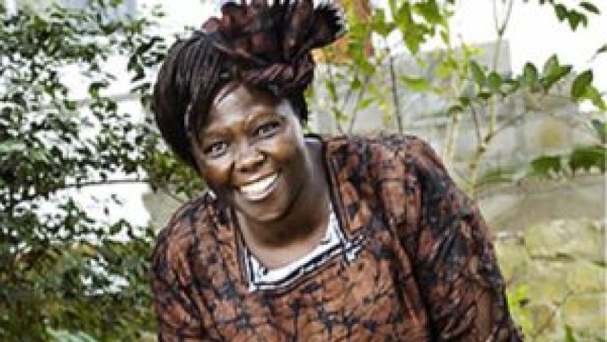 Wangari Maathai: Were it not for Cancer, She Could Have Celebrated Her 83rd Birthday on Saturday