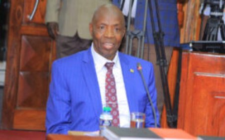 KCPE, KPSEA Placements Out, See How to Check Placements