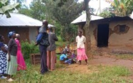 Cursed Inua Jamii funds.