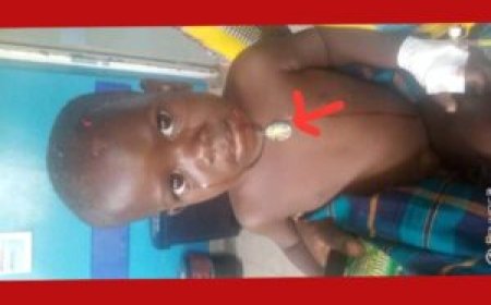 Minor Swallowed by Hippo Halfway Rescued.