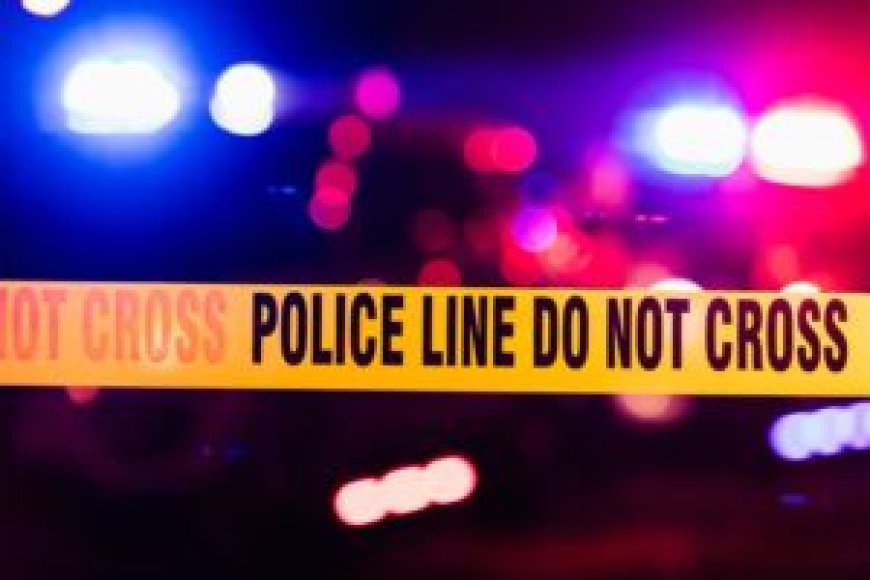 Kisii Man Hacks his Two Sons to Death