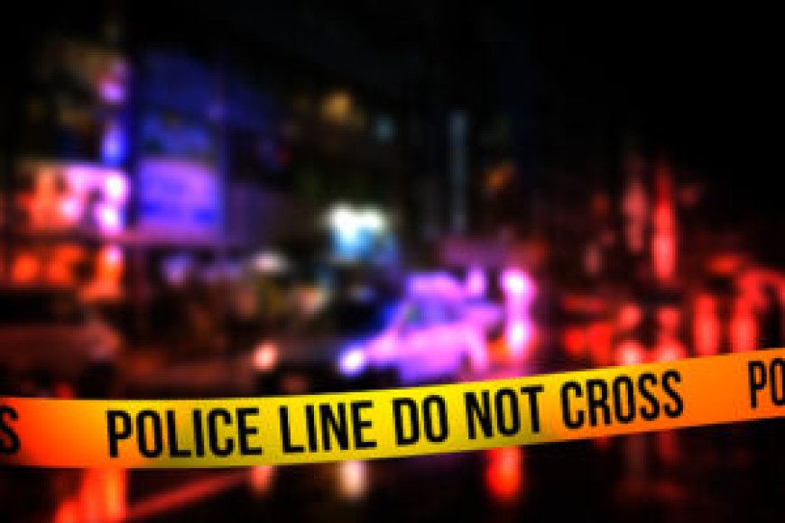 Two Lover Birds Found Dead in Kitengela
