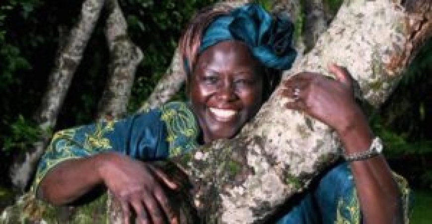 The Story of the Hummingbird by Wangari Mathai